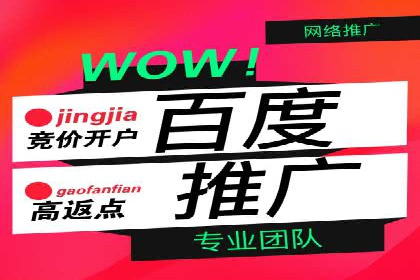 百度竞价SEM案例分享：如何实现精准营销